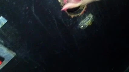 My wife at the glory holes